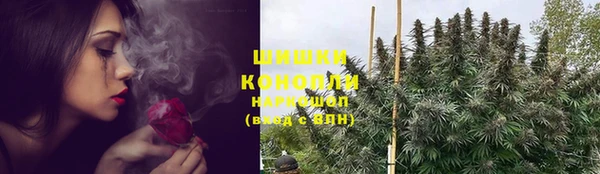 PSILOCYBIN Бронницы