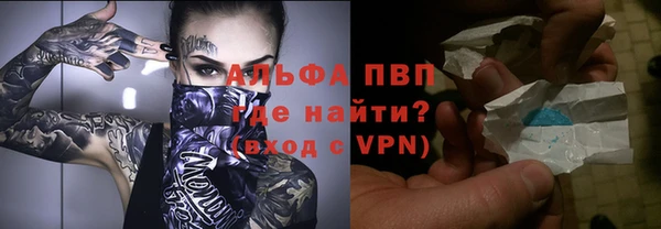 PSILOCYBIN Бронницы