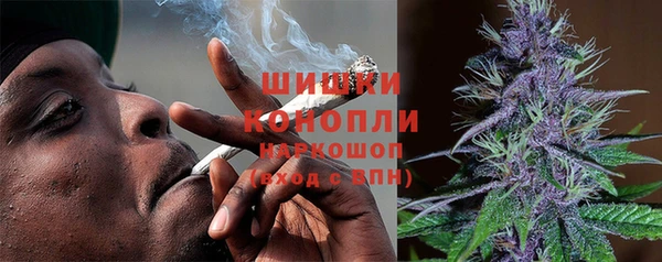 прущие крисы Бородино