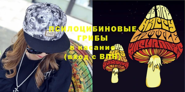 прущие крисы Бородино