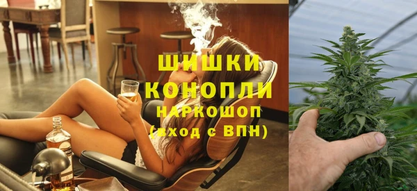 прущие крисы Бородино