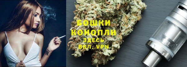 прущие крисы Бородино