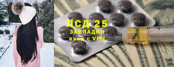 прущие крисы Бородино