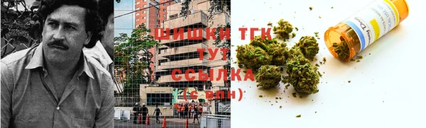 прущие крисы Бородино