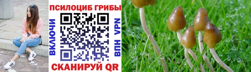 Галлюциногенные грибы мицелий  сколько стоит  Далматово 